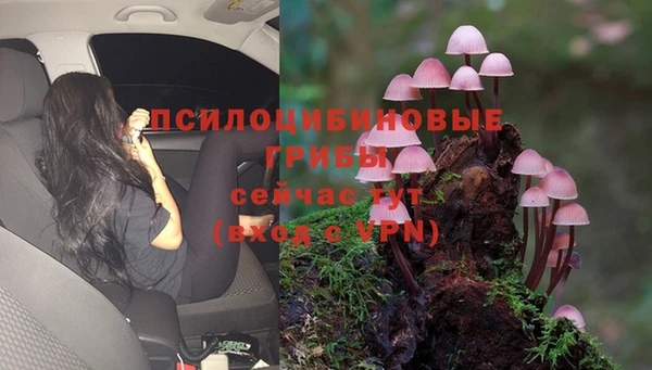 прущая мука Нягань