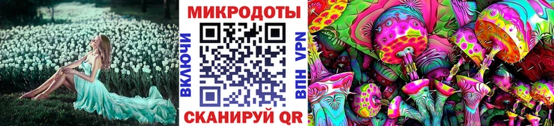 Псилоцибиновые грибы Cubensis  Щучье 